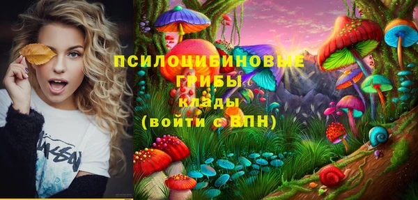 apvp Бронницы