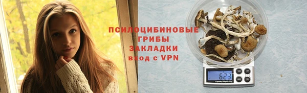 хмурый Верхний Тагил