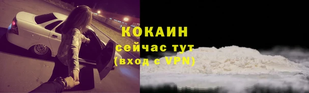 крисы Сатка