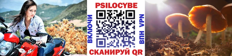 что такое наркотик  Глазов  Псилоцибиновые грибы Magic Shrooms 